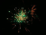Bild: IMG_3257.JPG