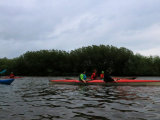 Bild: IMG_8070.JPG