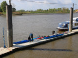 Bild: IMG_8083.JPG