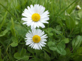 Bild: dscf3089.jpg