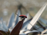 Bild: dscf3132.jpg