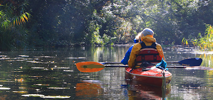 Kajaks auf der Schwentine