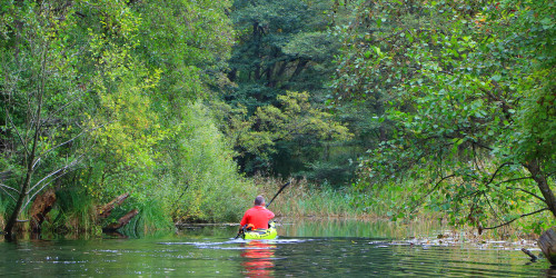 Paddler auf naturbelassenem Gewässer